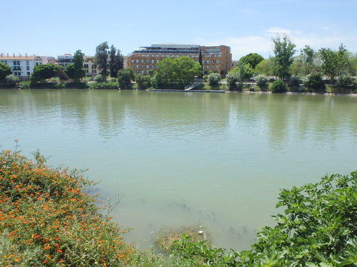 Rio Guadalquivir.